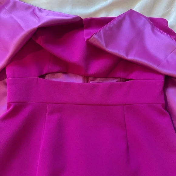 JEYGODFREY FUSCIA MINI DRESS
neverworn - Picture 4 of 9
